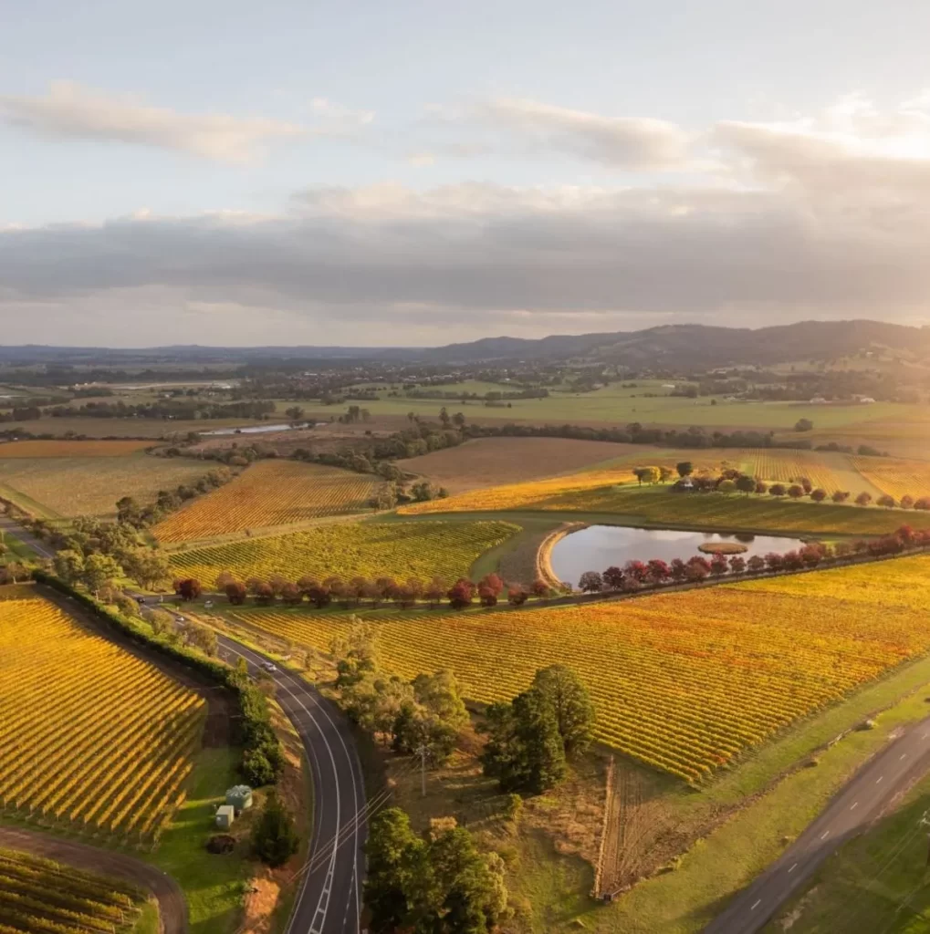 Pre-Wine Tasting Don’ts: Your Ultimate Guide to Yarra Valley Wine Tours