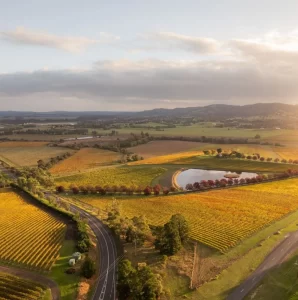 Pre-Wine Tasting Don’ts: Your Ultimate Guide to Yarra Valley Wine Tours