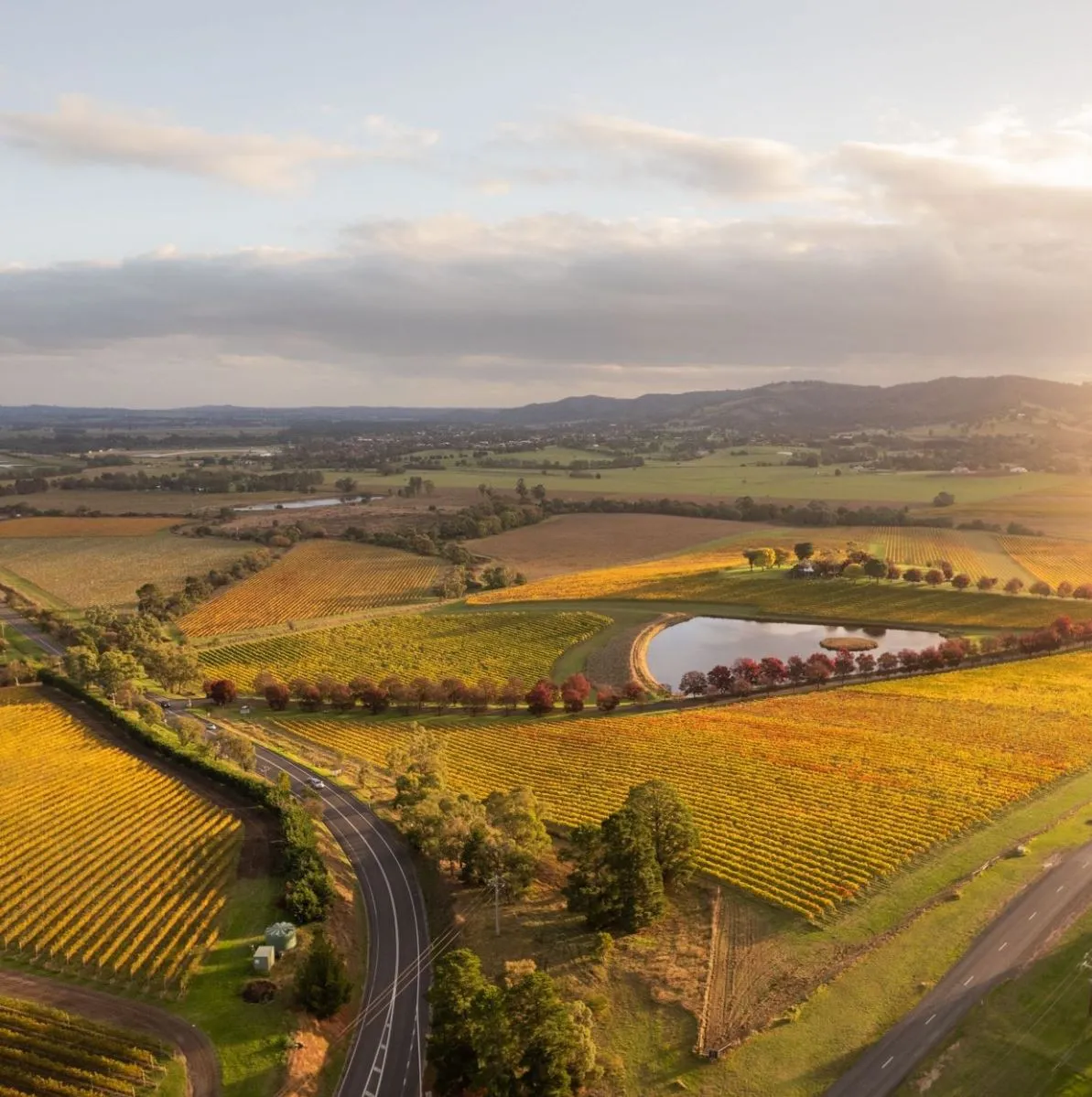 Your Ultimate Guide to Yarra Valley Wine Tours