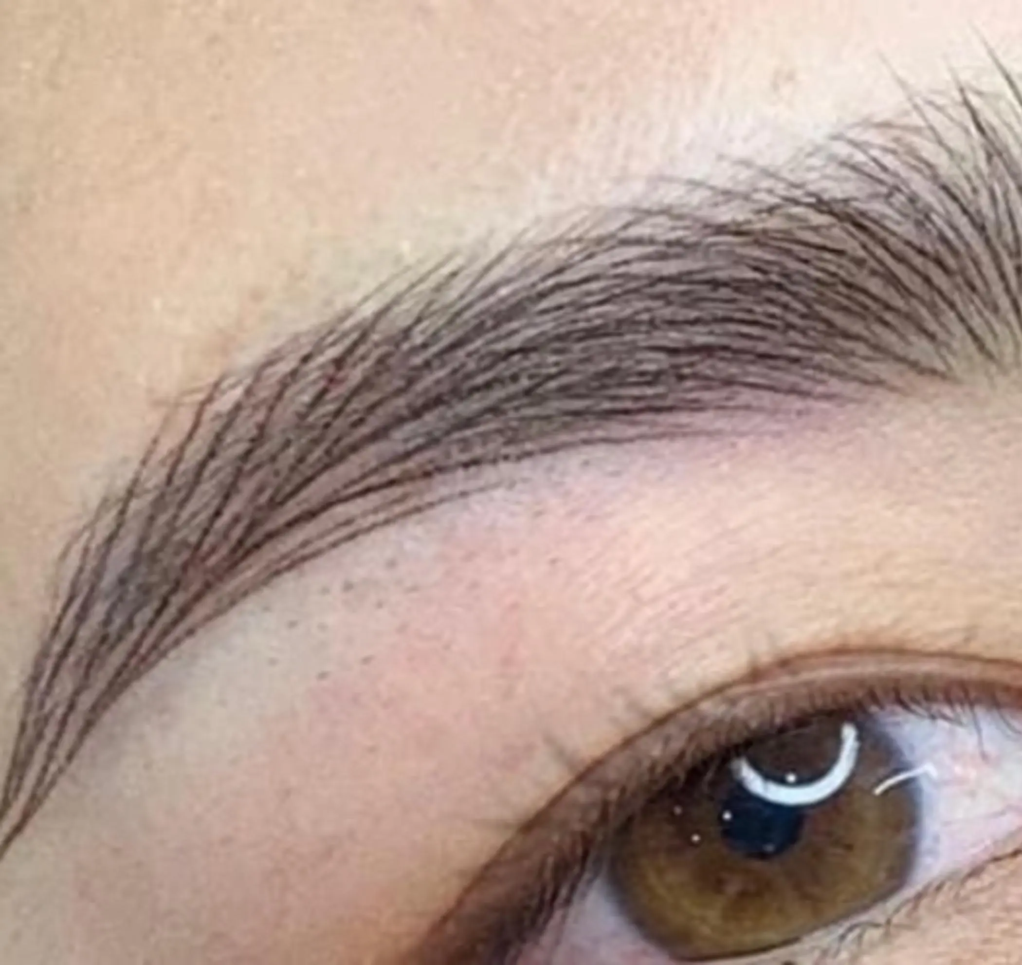 step by step eyebrow tattoo cover process
